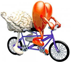 Ilustračná fotka -cyklistika je významná pre srdce