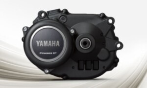 motor yamaha pw-st