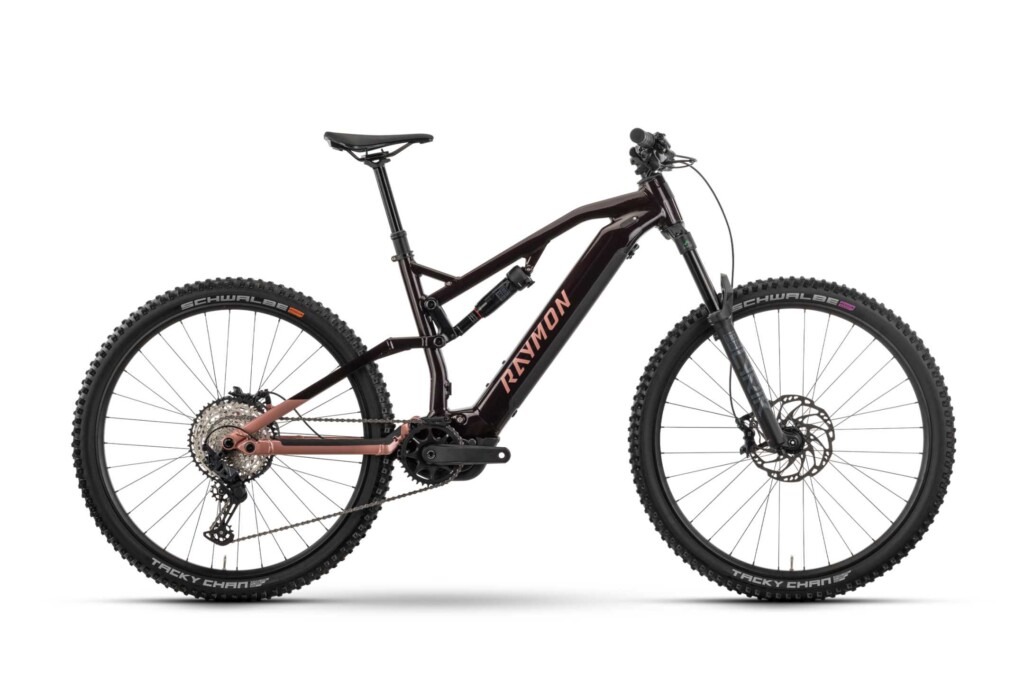 horský elektrobicykel Raymon Trailray 150 Pro