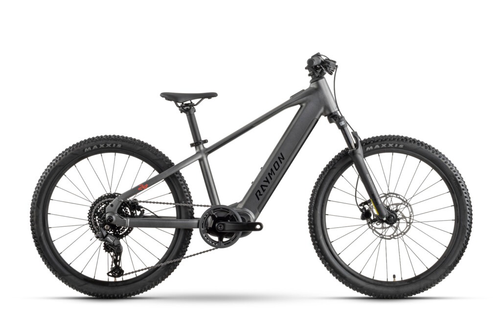 elektrobicykel raymon zorq comp